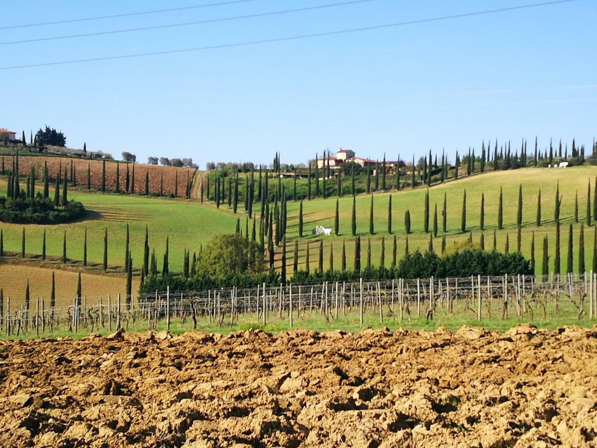 Castello Di Fulignano Ranuccio10 Superior Apartment San Gimignano Bagian luar foto
